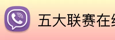 五大联赛在线平台 logo